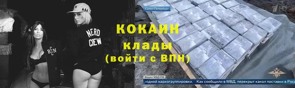 гидра Володарск