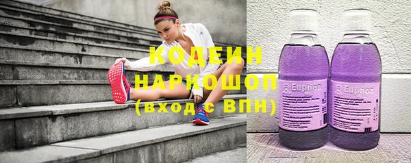 гидра Володарск