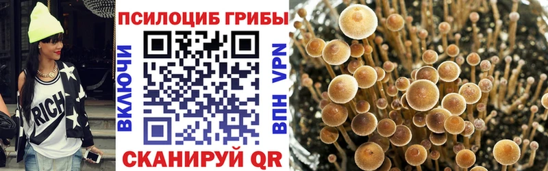 Галлюциногенные грибы MAGIC MUSHROOMS  Жиздра 